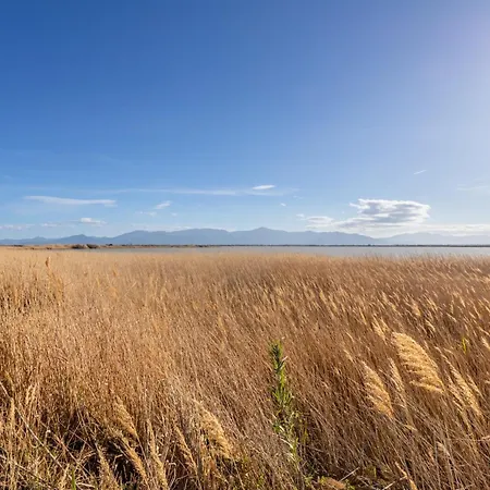 Mar Estang 4 Etoiles *