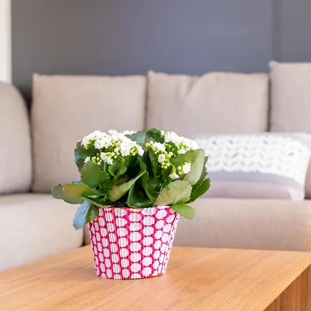 Holiday home Mar Estang 4 Etoiles